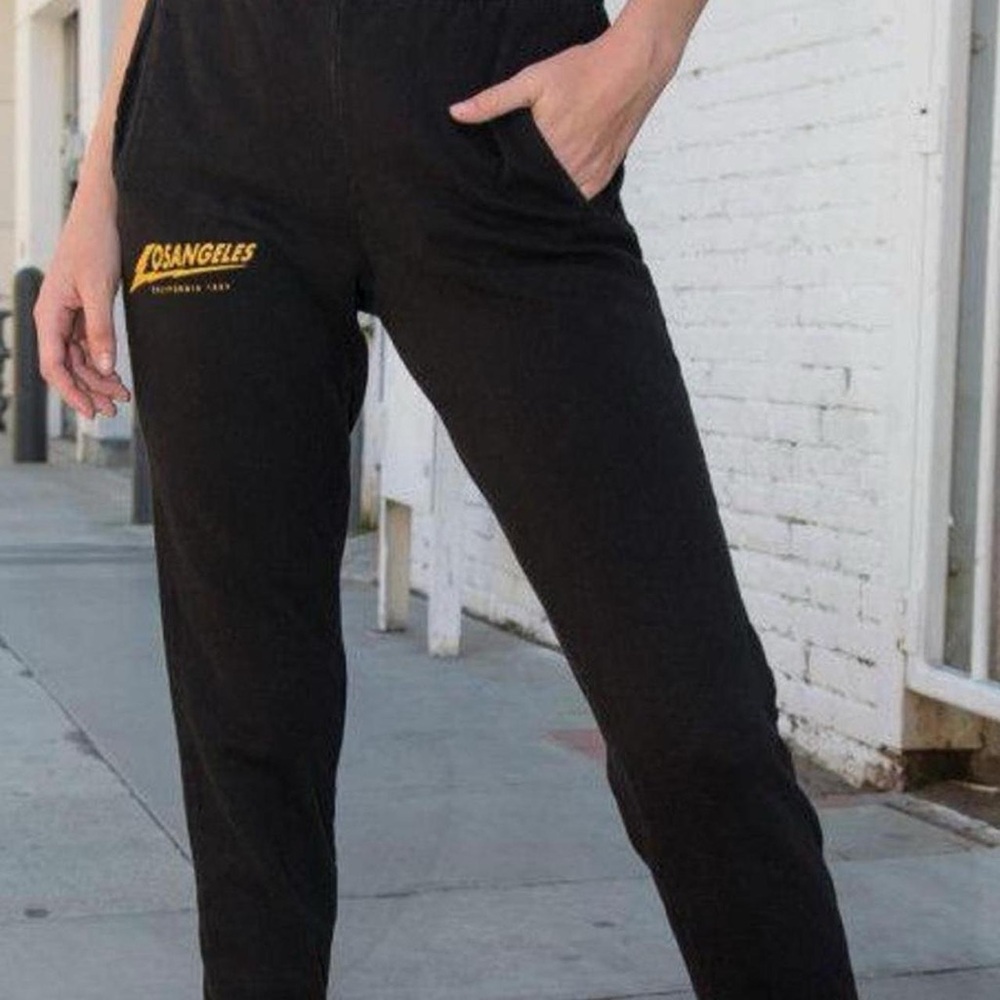 Brandy Melville Los Angeles grey sweat pants
